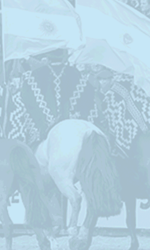Banner calendario 2