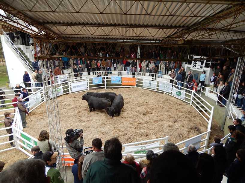 Ayacucho foto expo