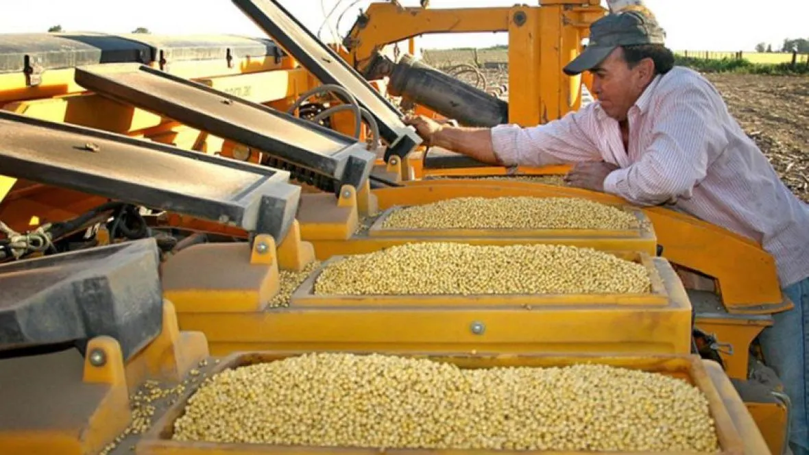 Semillas bajo la lupa: el Gobierno convoca al campo para redefinir el sistema de fiscalizaci&oacute;n y propiedad intelectual